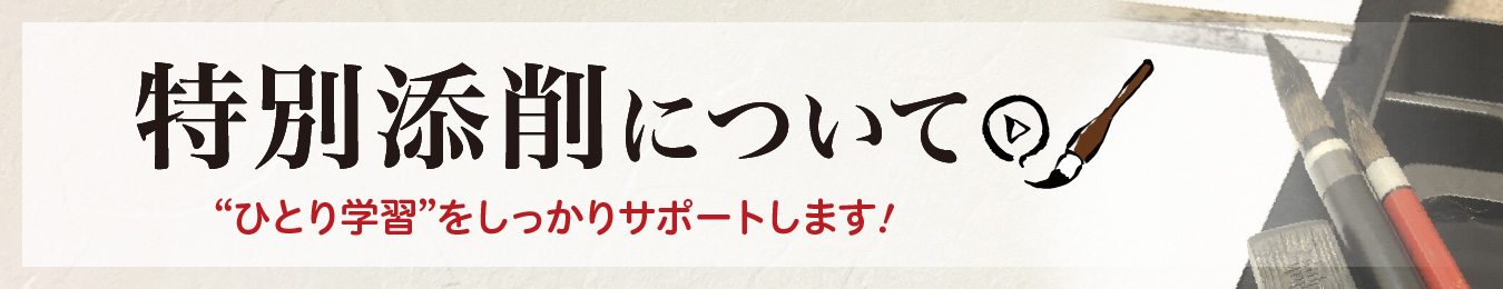 特別添削について