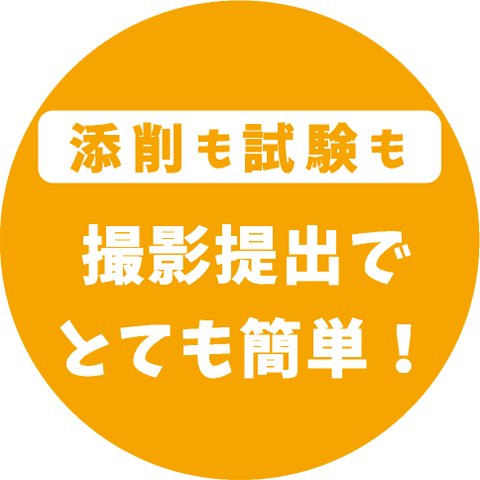 添削も試験も撮影提出でとても簡単!