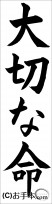 書き初め『大切な命』 
