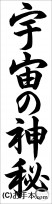 書き初め『宇宙の神秘（行書）』 