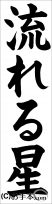 書き初め『流れる星』 