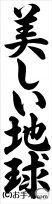 書き初め『美しい地球（行書）』 