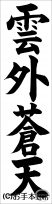 書き初め『雲外蒼天』 